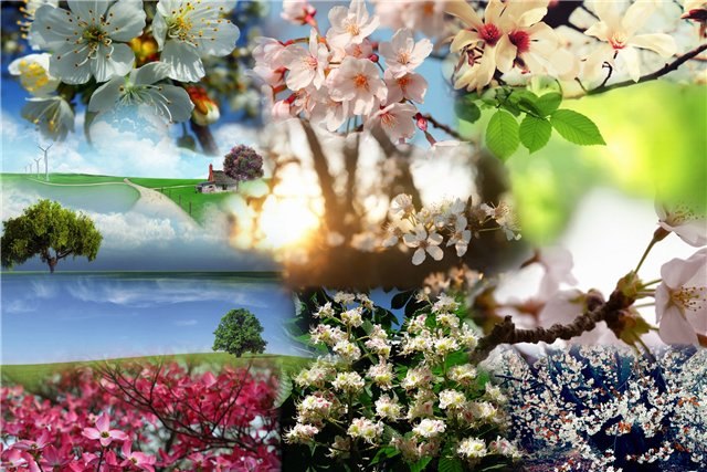 Ольга Щебель | Одесса