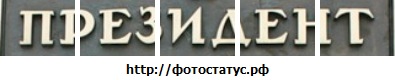 №52, Алексей Дмитриев, 34 года, Кунья №52, Алексей Дмитриев, 34 года, Кунья