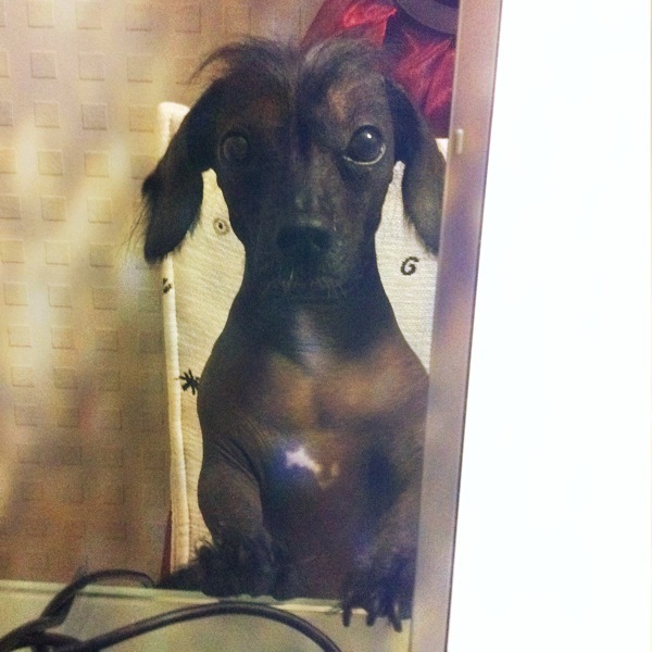 №183, Татьяна Цирульник, Санкт-Петербург №183, Татьяна Цирульник, Санкт-Петербург