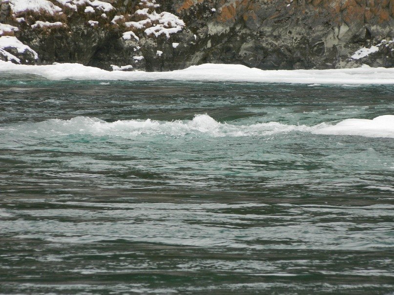 Николай Серёгин | Барнаул