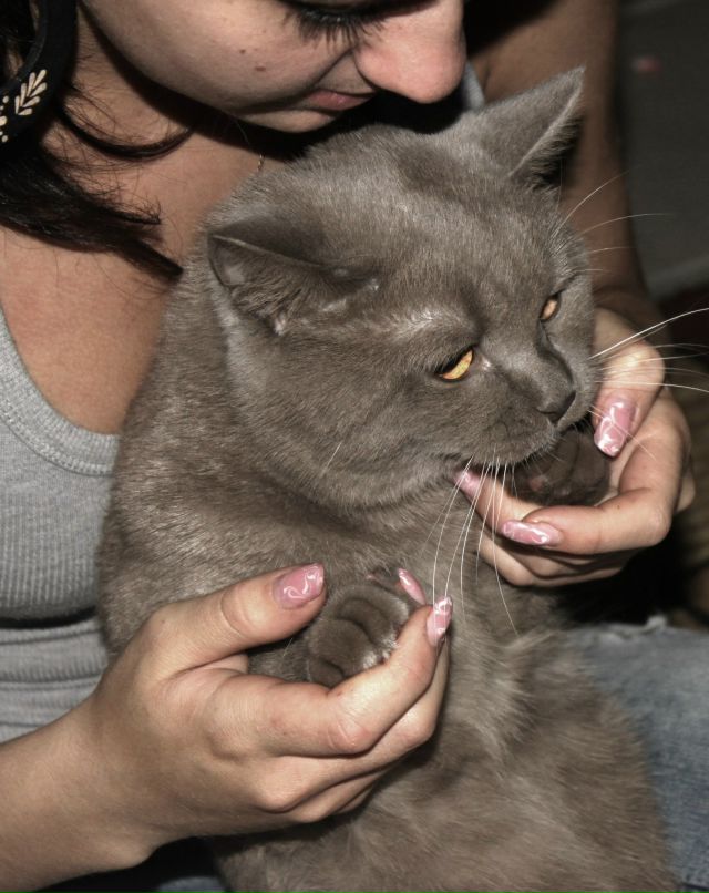 Инга Денисова | Новосибирск