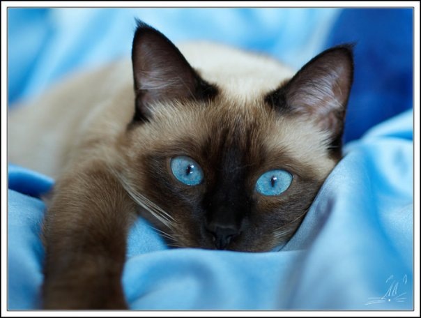 №102, Юлия Якимова, Санкт-Петербург №102, Юлия Якимова, Санкт-Петербург