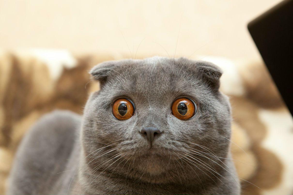 Маша Хмиль | Киев