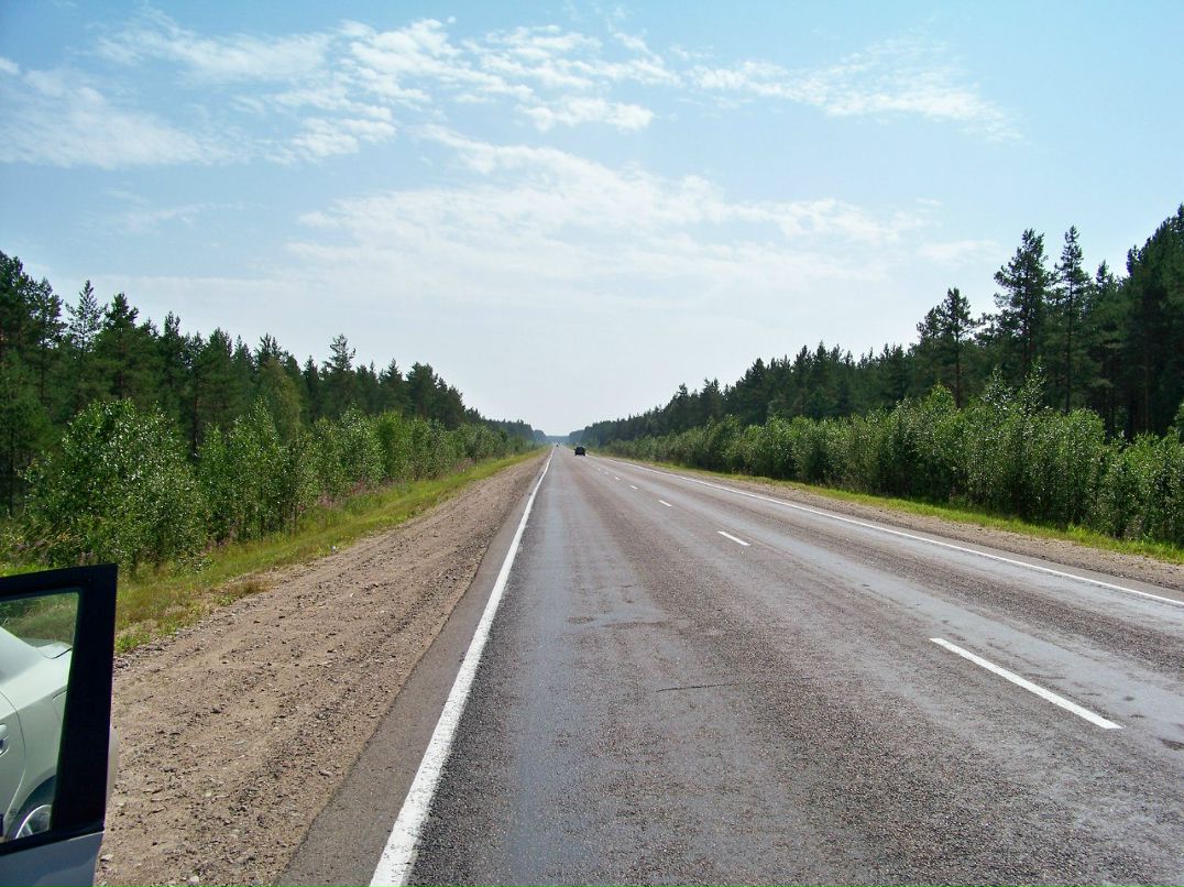 Дмитрий Цветков | Орёл