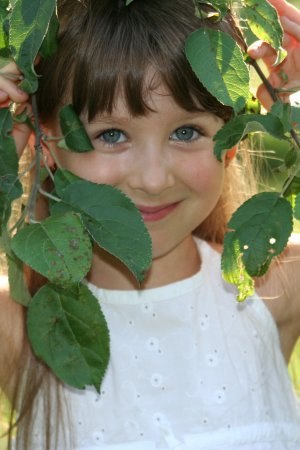 Аркадий Колышев | Санкт-Петербург