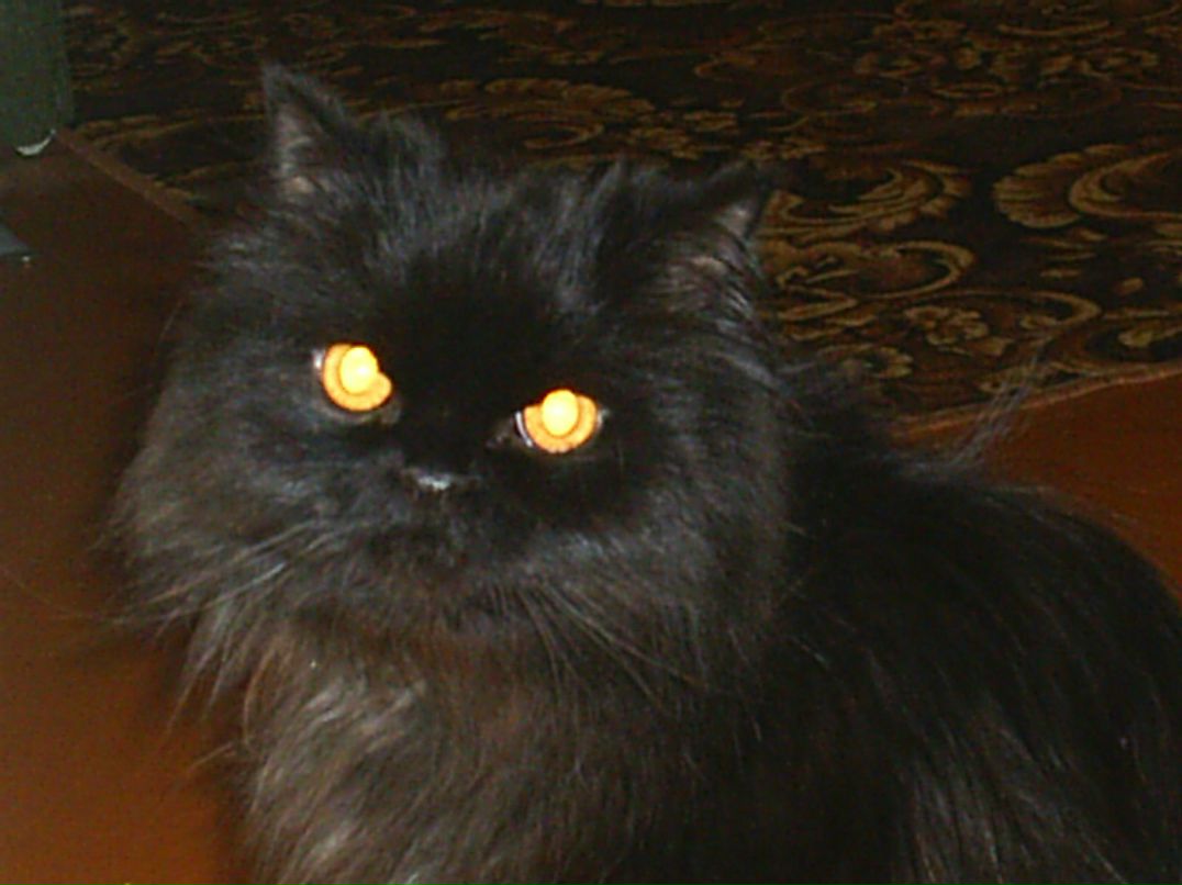 Алексей Вотяков | Чайковский