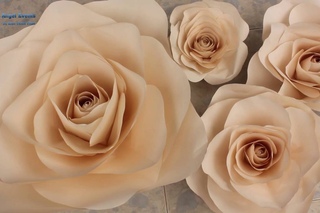 paper roses. Hướng dẫn làm hoa hồng bằng giấy cực dễ cực đẹp