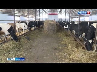Чувашия готовится к сельскохозяйственной микропереписи