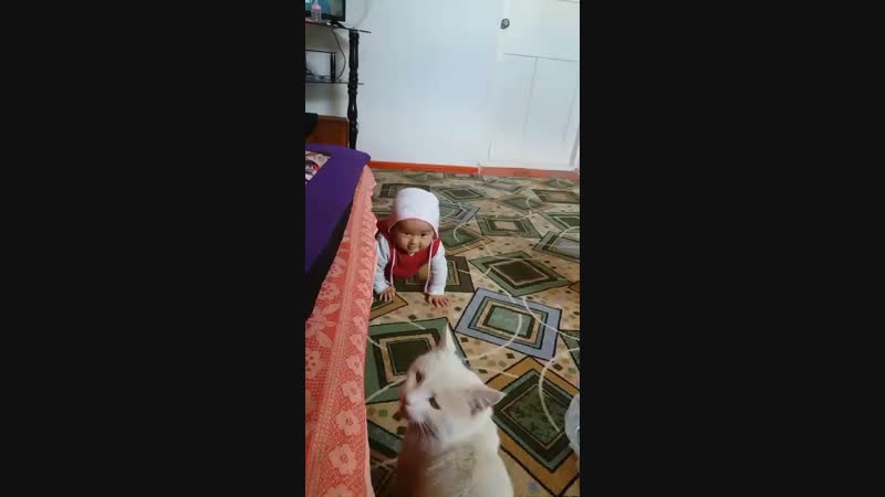 Ози мысыкты жаксы кореди 😂😂😂