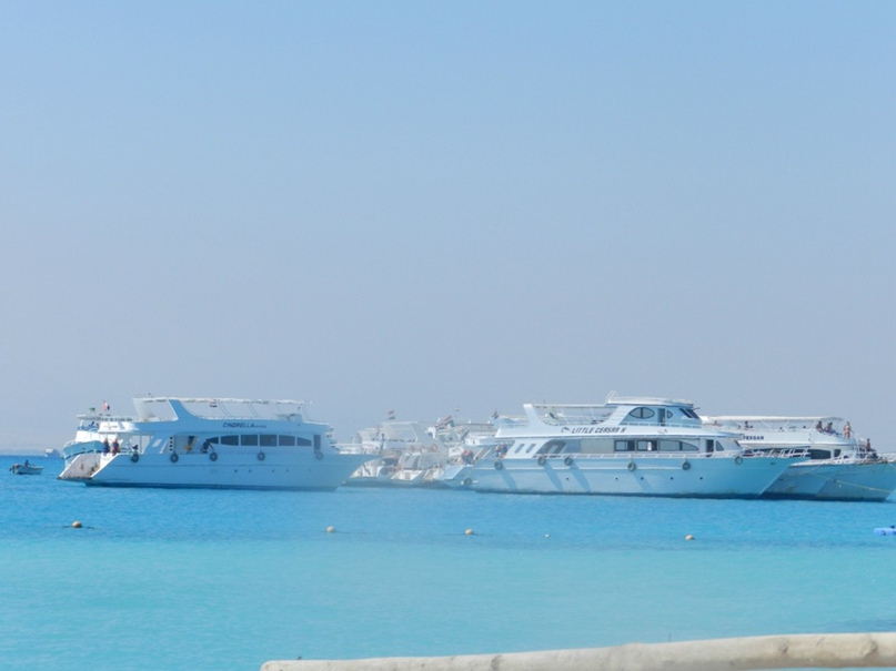 Сергей Симонов | Пионерский