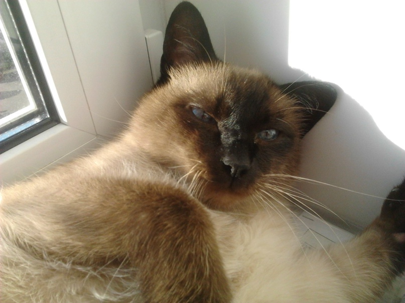 Александр Курицын | Санкт-Петербург