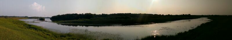 Елена Ардашева |