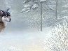 Марат Соловьев |