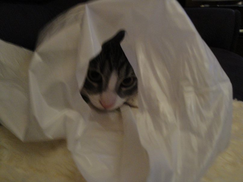 Юлия Осокина | Санкт-Петербург