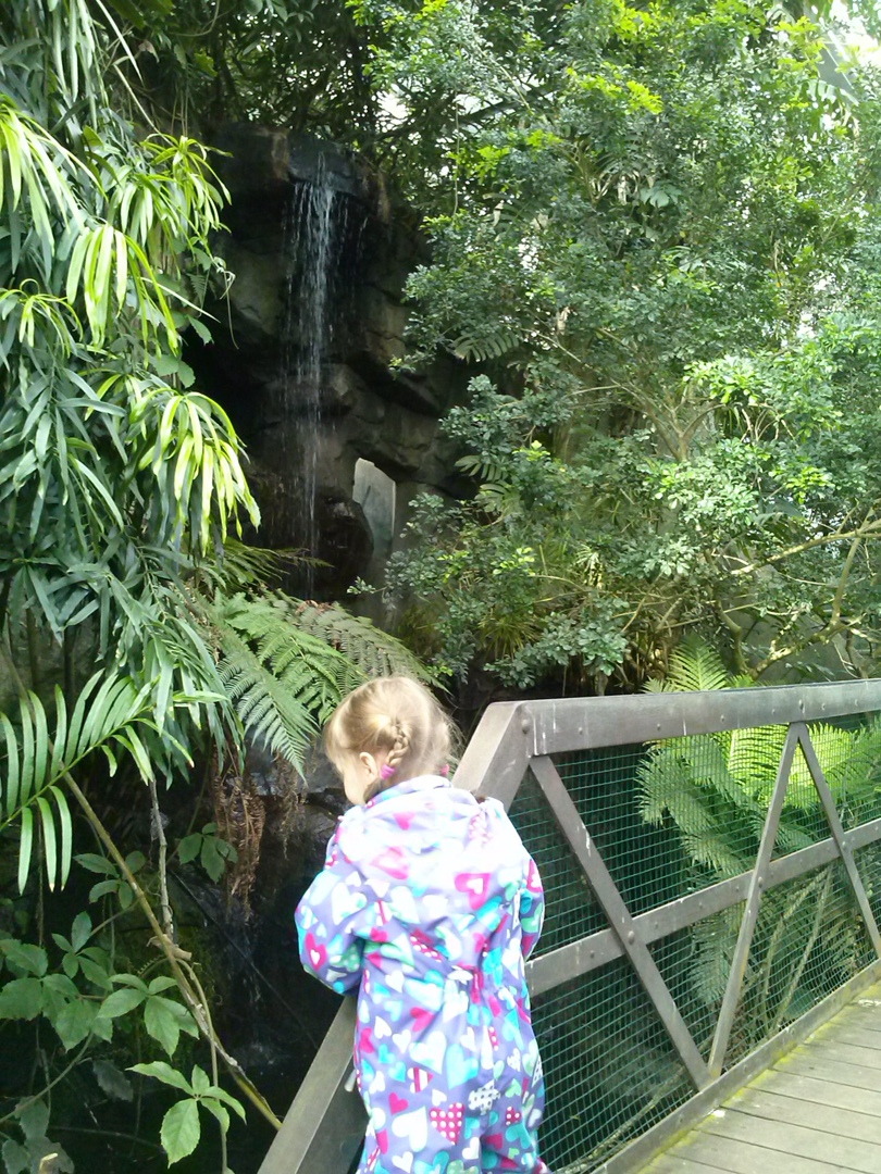 Сергей Твильдиани | Санкт-Петербург