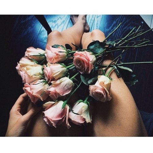Pinterest Luxury flowers, Beautiful flowers, Flowers bouquet