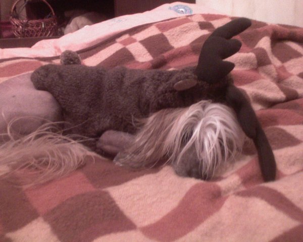 Мария Соколова |