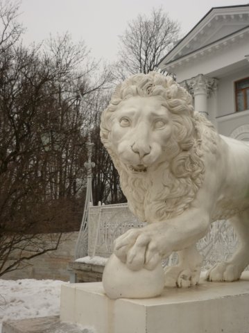 Андрей Бельтюгов-Кучеров | Санкт-Петербург