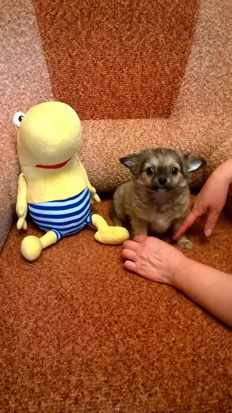 Аня Румянцева | Углич