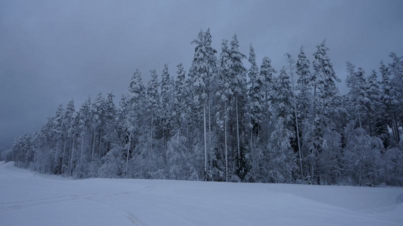 Анастасия Матвеева *Эйла_Troll* | Санкт-Петербург