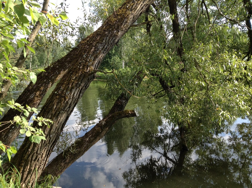 Юрий Новиков | Москва