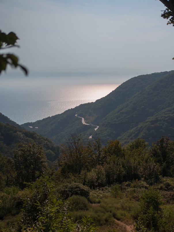 Андрей Федотов | Санкт-Петербург