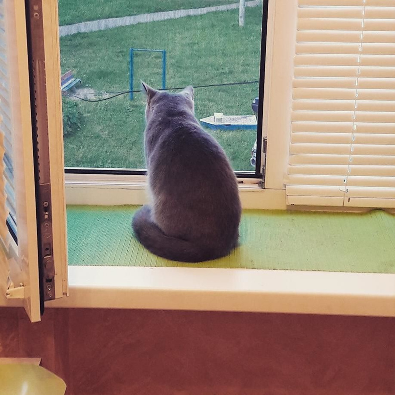 Вероника Тарасова | Курск