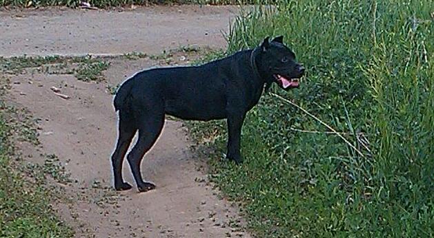 Эльвира Беляева | Казань