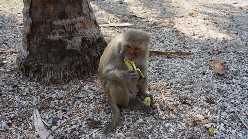Рафаэль Хафизов | Павлодар