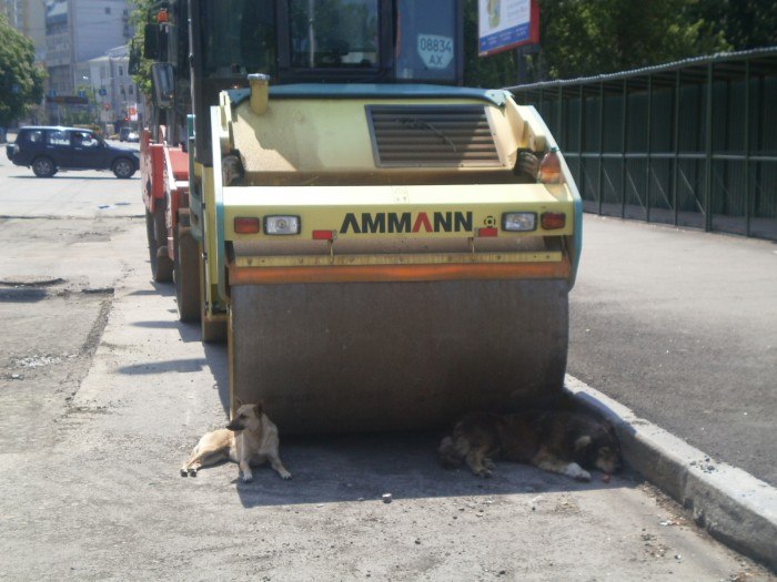 Никита Ульянов | Часов Яр