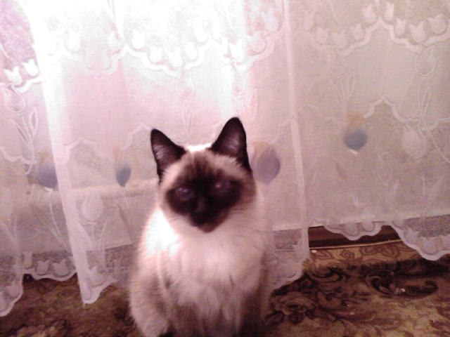 Женя Игнатьев | Казань