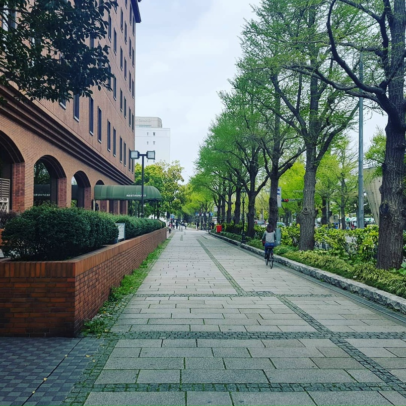 Константин Алексин | Москва