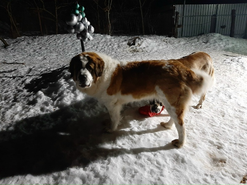 Анастасия Васильева | Вышний Волочек