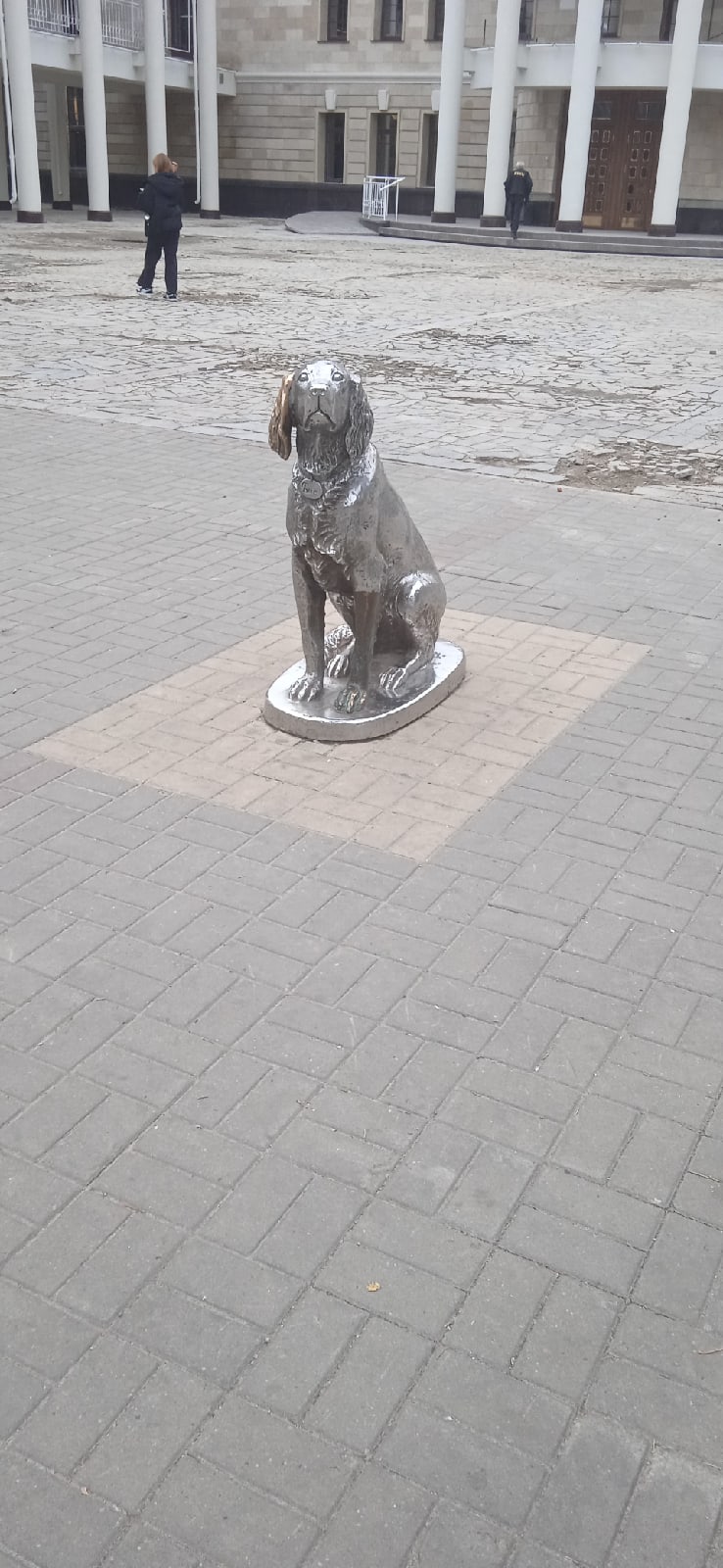 Сергей Серов | Воронеж