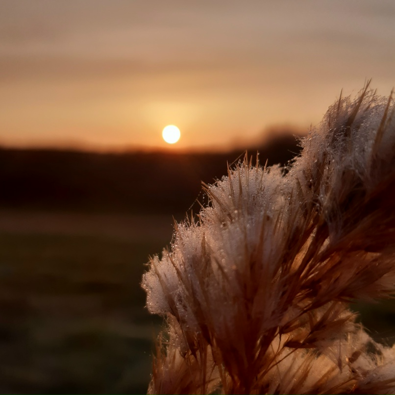 Наталья Шмакова | Армянск
