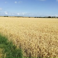 Дмитрий Ворон | Оренбург