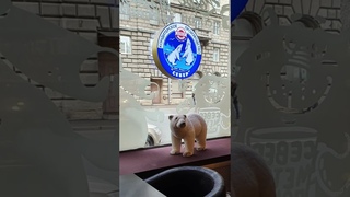 Наталья Сорокина_Петербург, Петроград, Ленинград