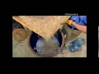 Como Se Fabrica -  Molho De Soja