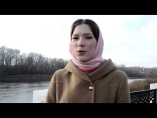 Управленческий проект Ревизорро