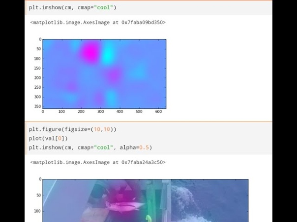 Lesson 7: Practical Deep Learning for