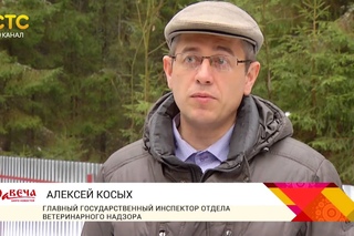 Приемка скотомогильника в Верхошижемье