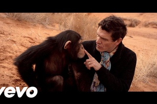 Marc Lavoine - Je Descends Du Singe
