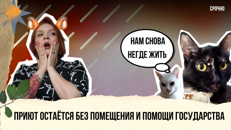 Приют ОСТАЛСЯ