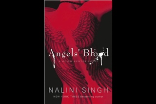 ANGEL CAIDO CAP. 32   (AUDIO LIBRO )