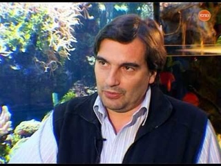 Мое дело. Как заработать на аквариумах?